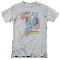 Trevco Men's Dc Comics Superman On The Job Tee New