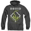 Trevco Men's Dungeons And Dragons Druid Heather Pullover Hoodie