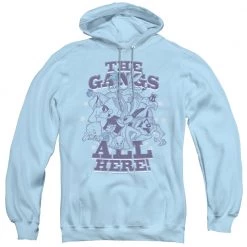 Trevco Men's Looney Tunes Blue Gang Pullover Hoodie