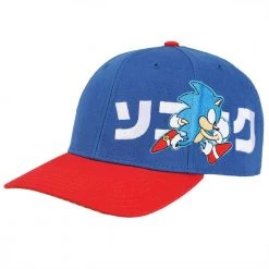 Bioworld Sonic The Hedgehog Pre-Curved Bill Snapback Hat